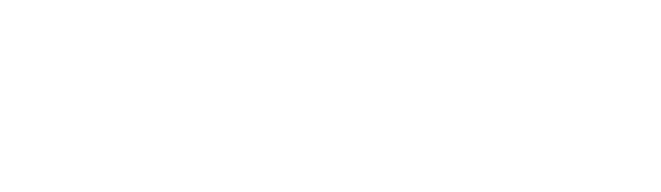 Perfect Solution Services